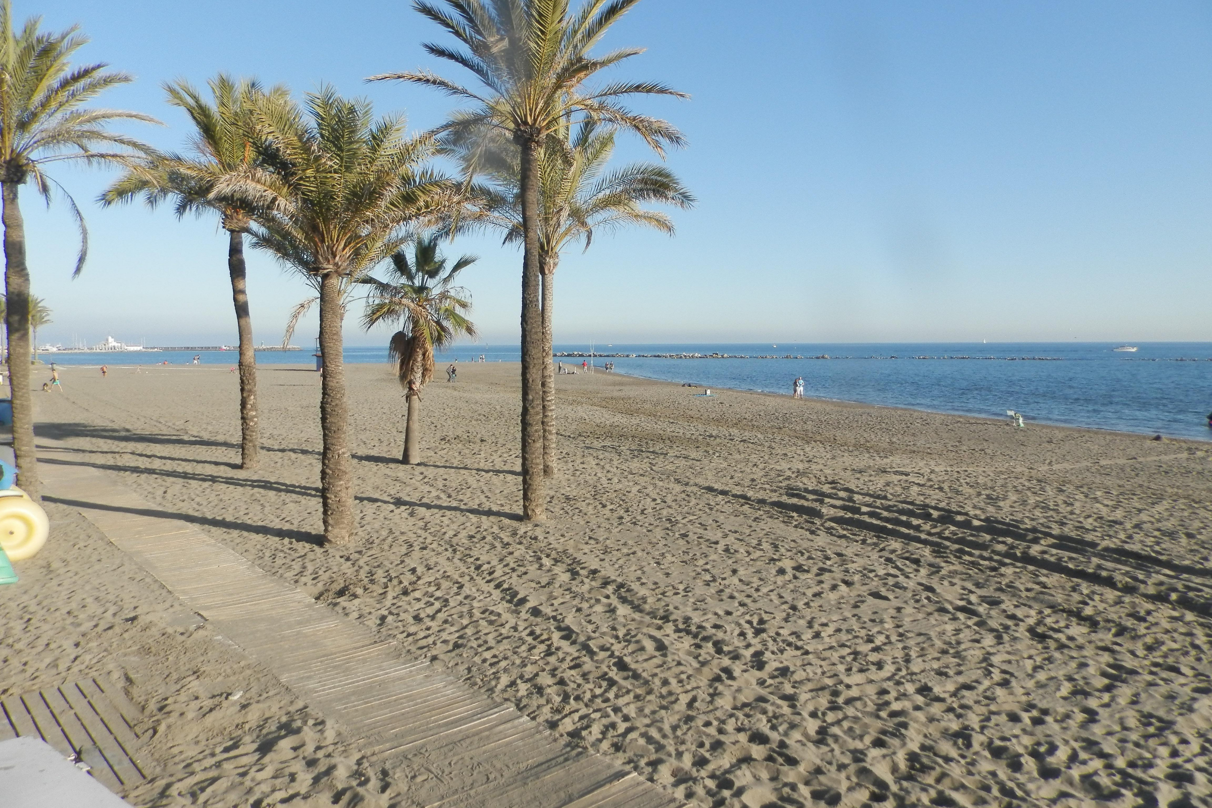 abra malaga (3).webp